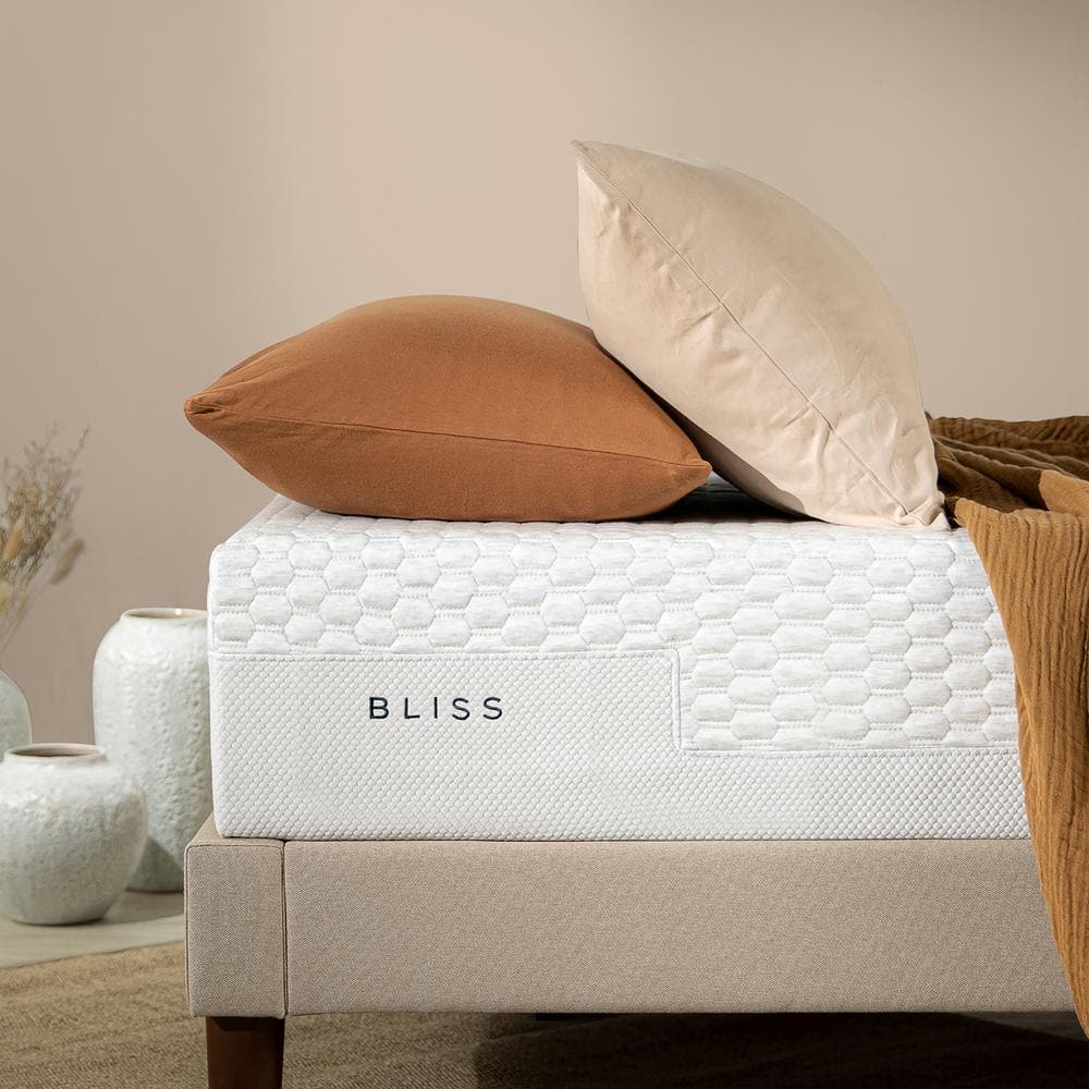 Zinus Bliss 10 Inch Medium Smooth Top King Memory Foam Mattress, Made in USA, White Zinus Bliss 10 Inch Medium Smooth Top King Memory Foam Mattress, Made in USA, White